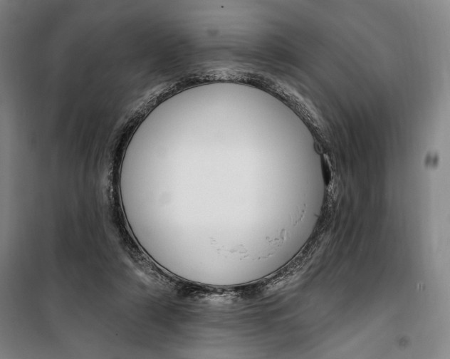 X0000099580306200806061633