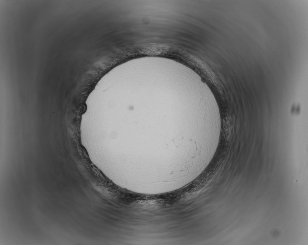 X0000099580307200806061633