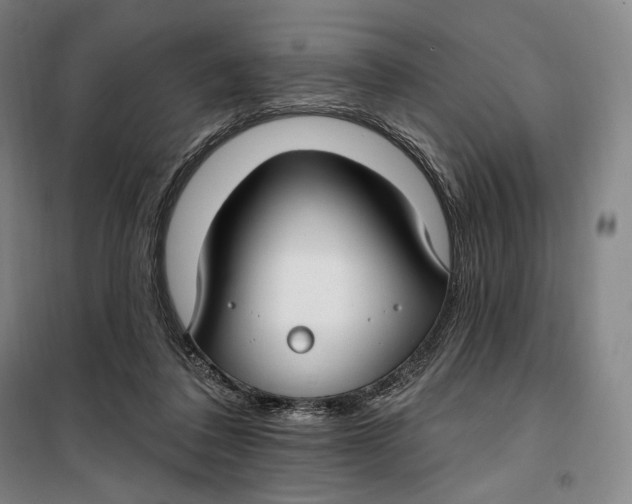 X0000099580308200806061633