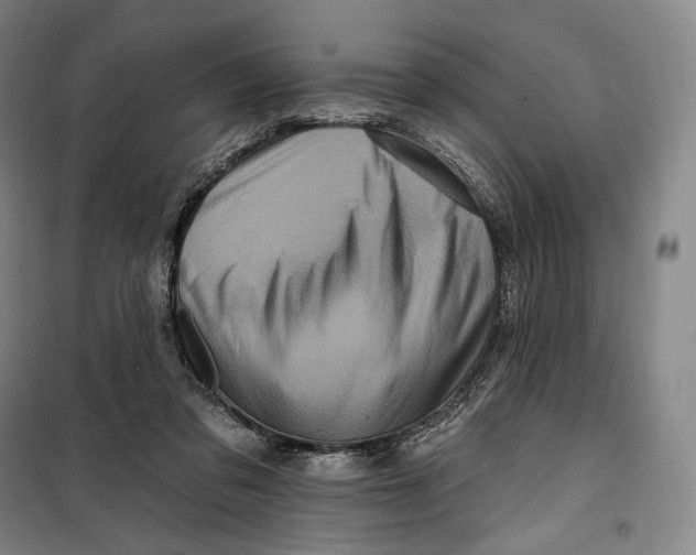 X0000099580309200806061633