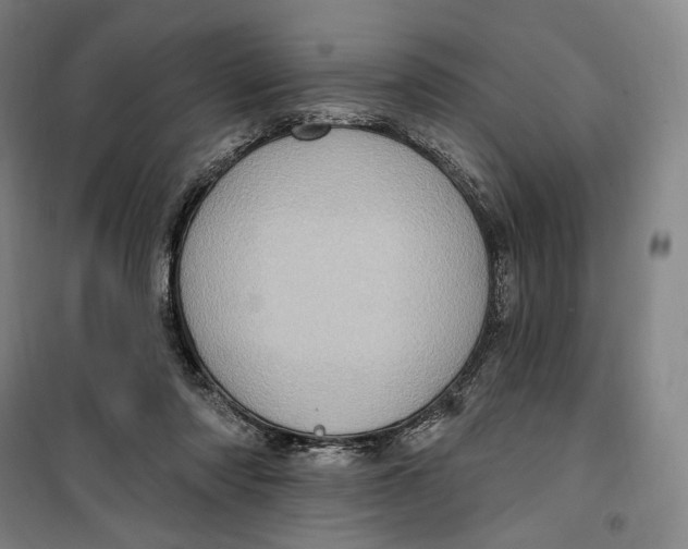 X0000099580310200806061633