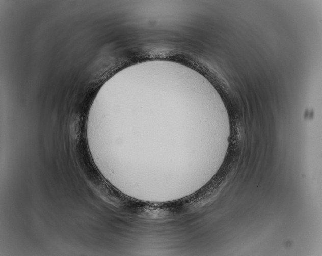 X0000099580311200806061633