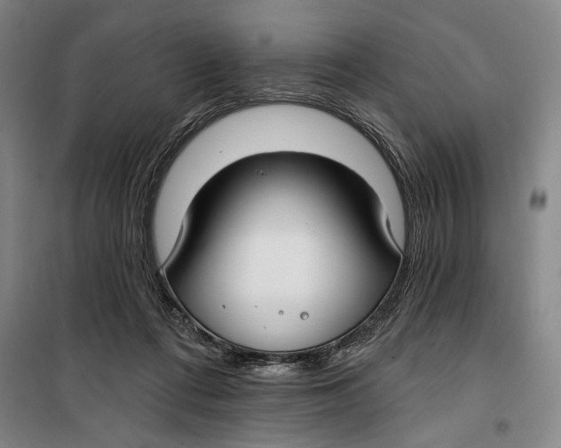 X0000099580312200806061633