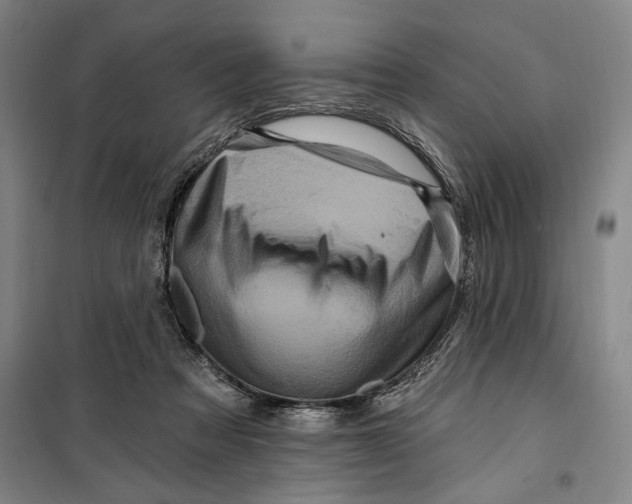 X0000099580313200806061633