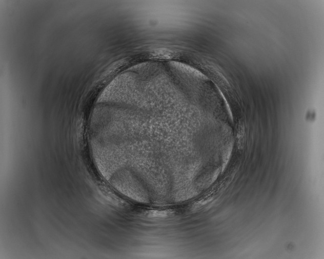 X0000099580314200806061633