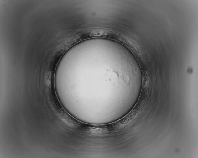 X0000099580315200806061633