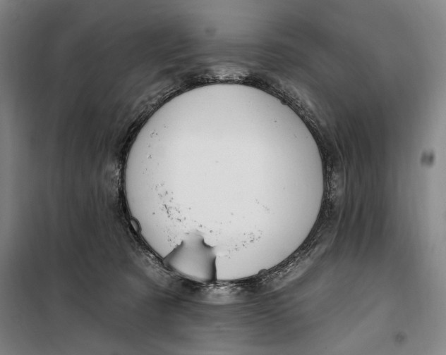 X0000099580321200806061633