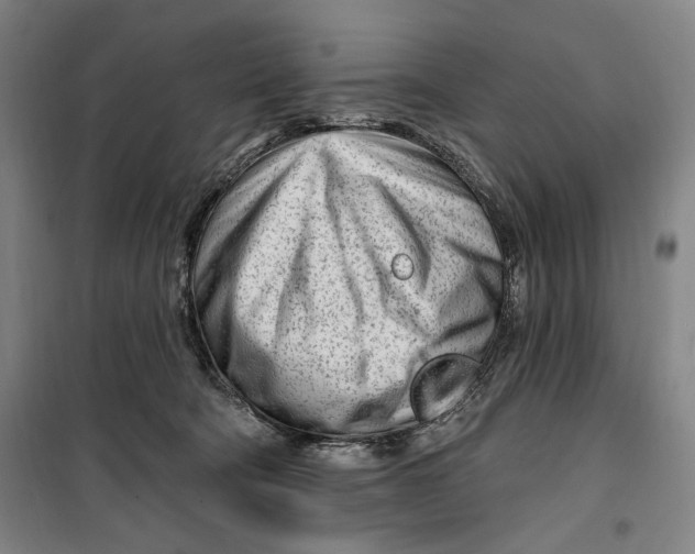 X0000099580322200806061633