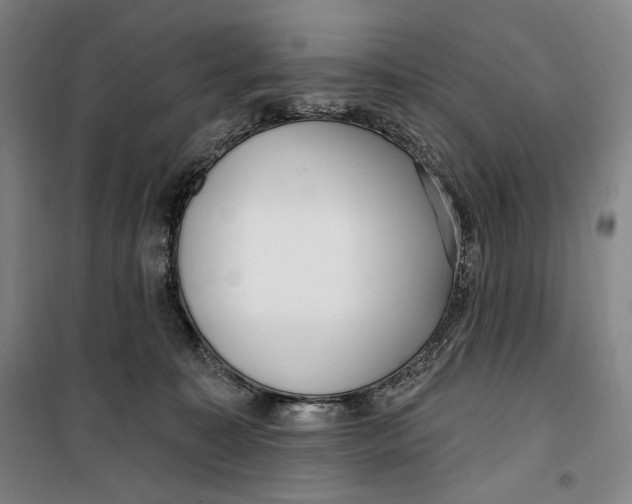 X0000099580323200806061633