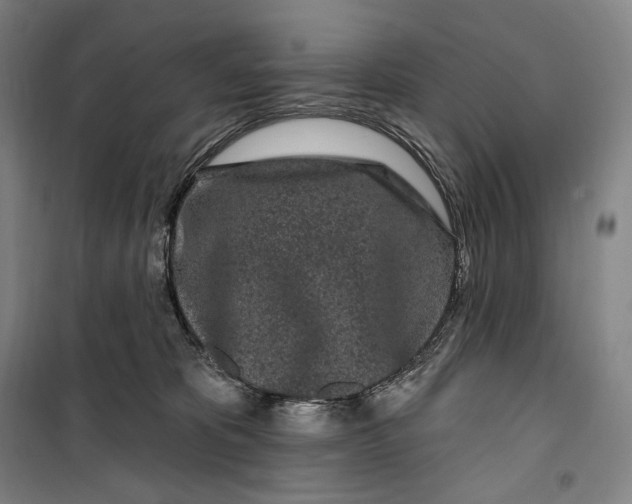 X0000099580325200806061633