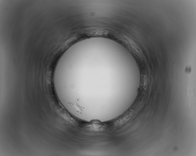 X0000099580326200806061633