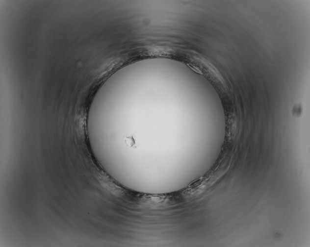 X0000099580329200806061633