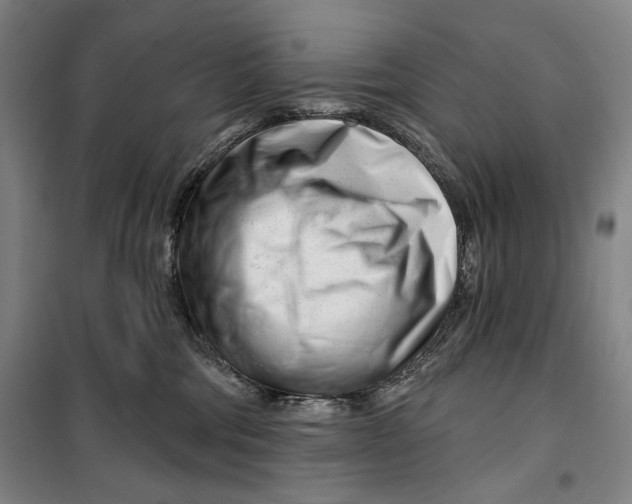 X0000099580330200806061633