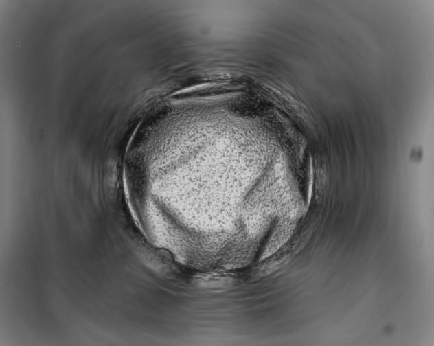 X0000099580331200806061632