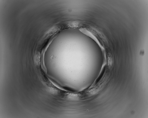 X0000099580332200806061632