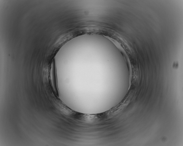 X0000099580333200806061632