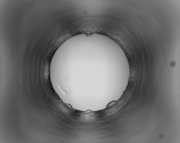 X0000099580334200806061632