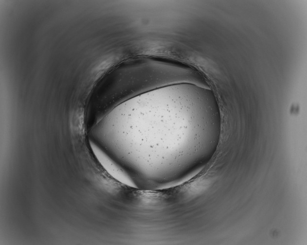 X0000099580336200806061632