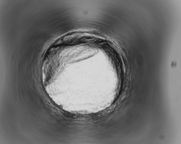 X0000099580337200806061632