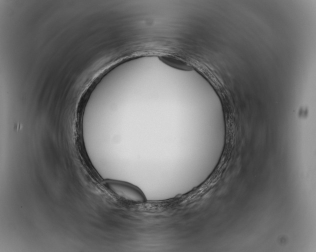 X0000099580338200806061632