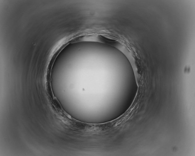 X0000099580340200806061632