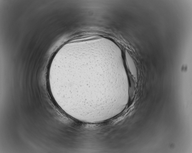 X0000099580341200806061632