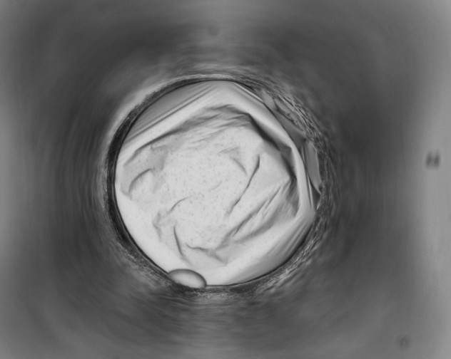 X0000099580342200806061632