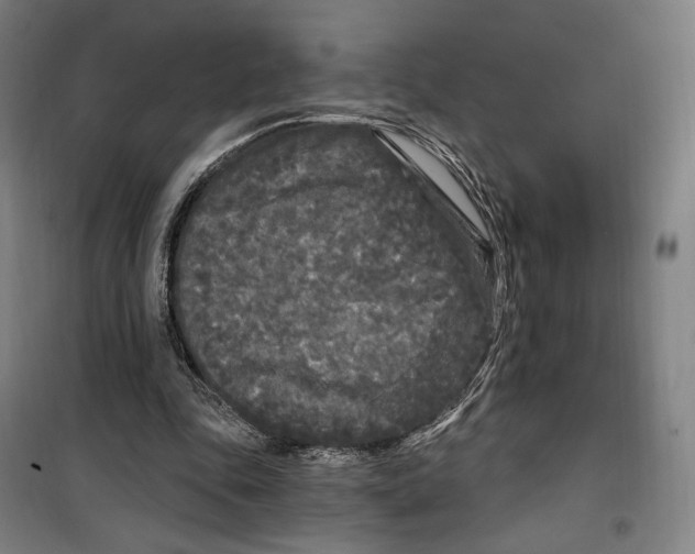 X0000099580343200806061632