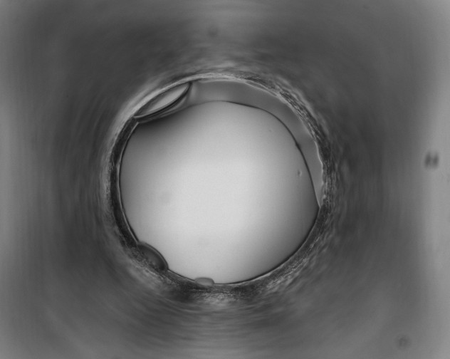 X0000099580344200806061632