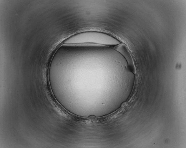 X0000099580345200806061632