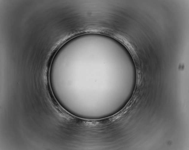 X0000099580346200806061632