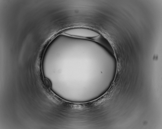 X0000099580347200806061632