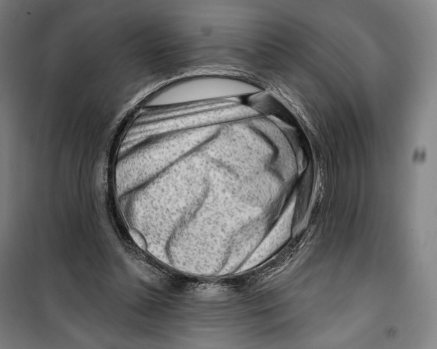 X0000099580348200806061632