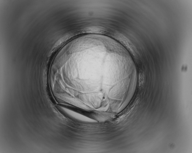 X0000099580349200806061632