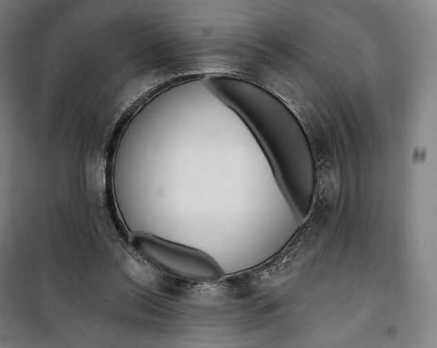 X0000099580350200806061632