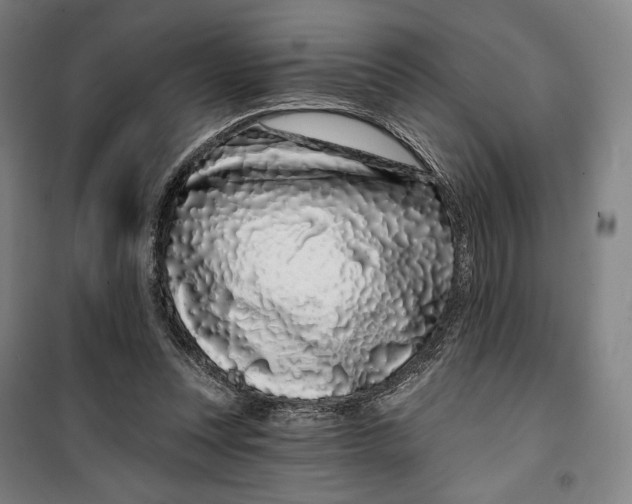 X0000099580351200806061632