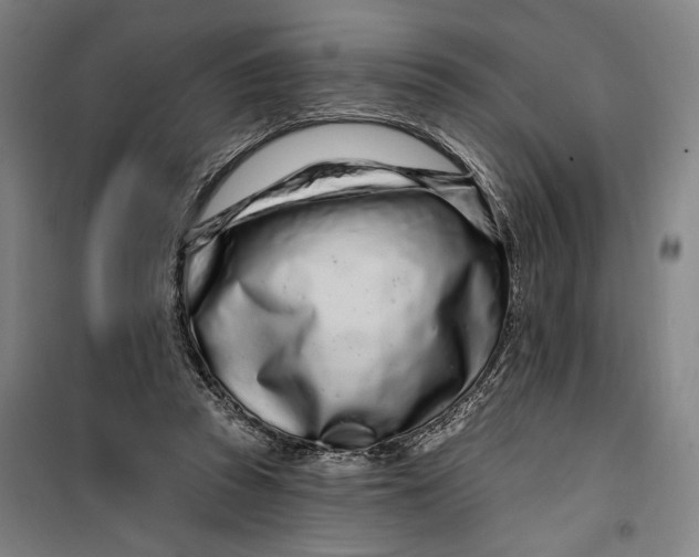 X0000099580353200806061632