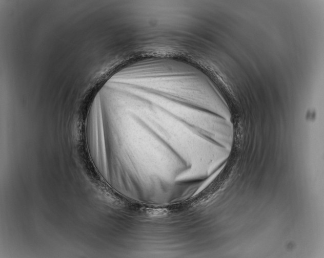 X0000099580355200806061632