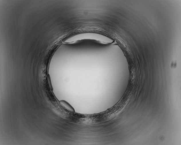 X0000099580356200806061632