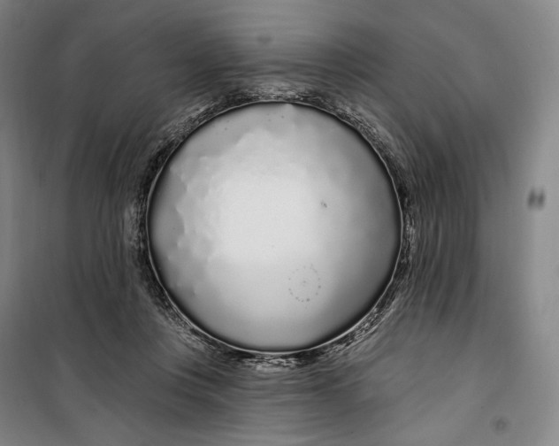 X0000099580359200806061632