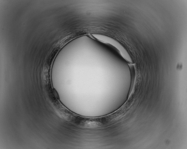 X0000099580360200806061632