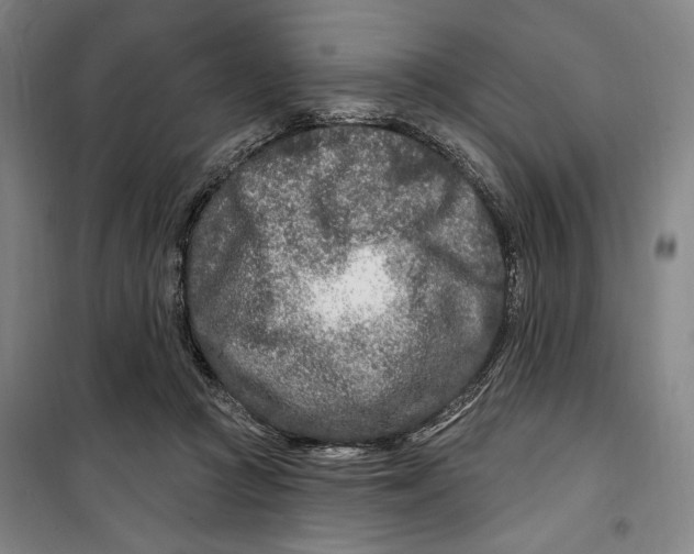 X0000099580361200806061632