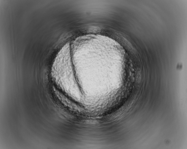 X0000099580363200806061632