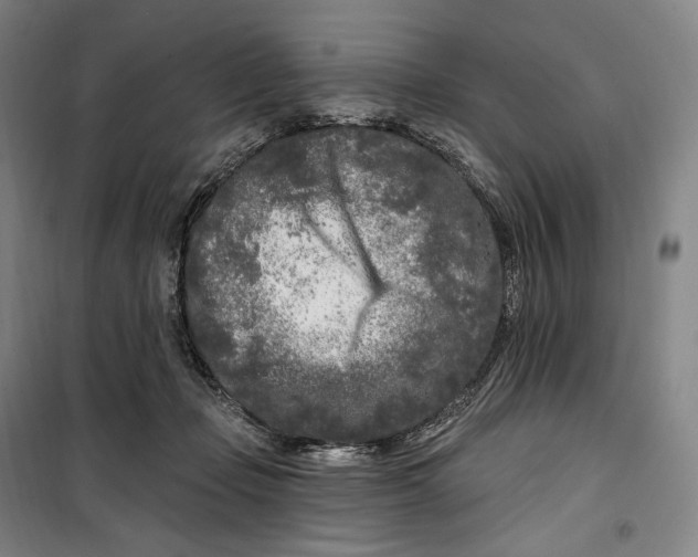 X0000099580365200806061632