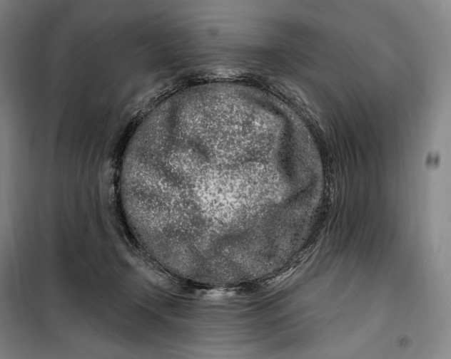 X0000099580366200806061632