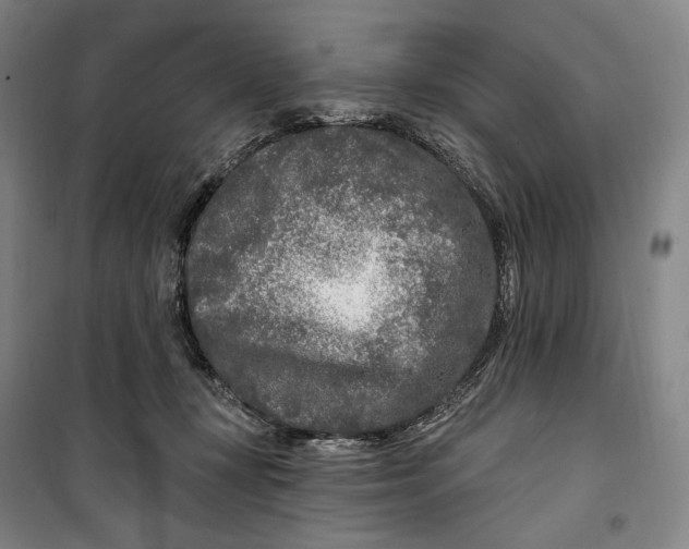 X0000099580367200806061632