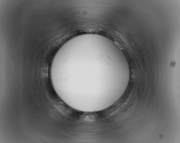 X0000099580368200806061632