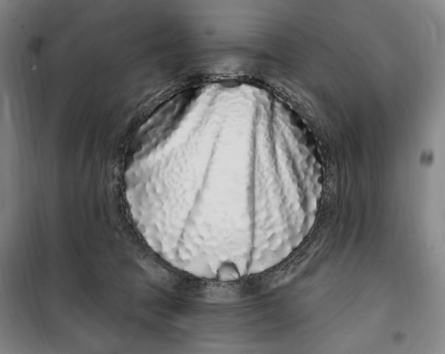 X0000099580369200806061632