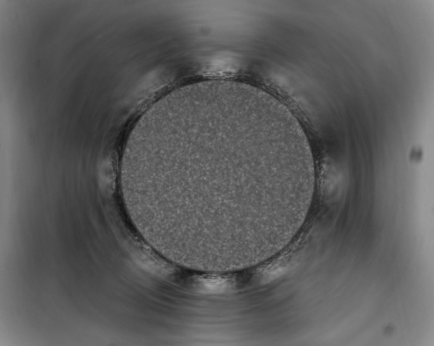 X0000099580370200806061632