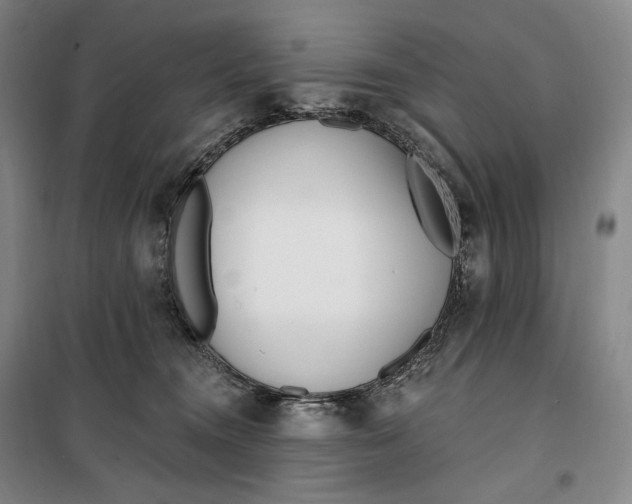 X0000099580372200806061632